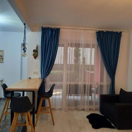 شقة سِنايا  في Belleview North Studio المظهر الخارجي الصورة