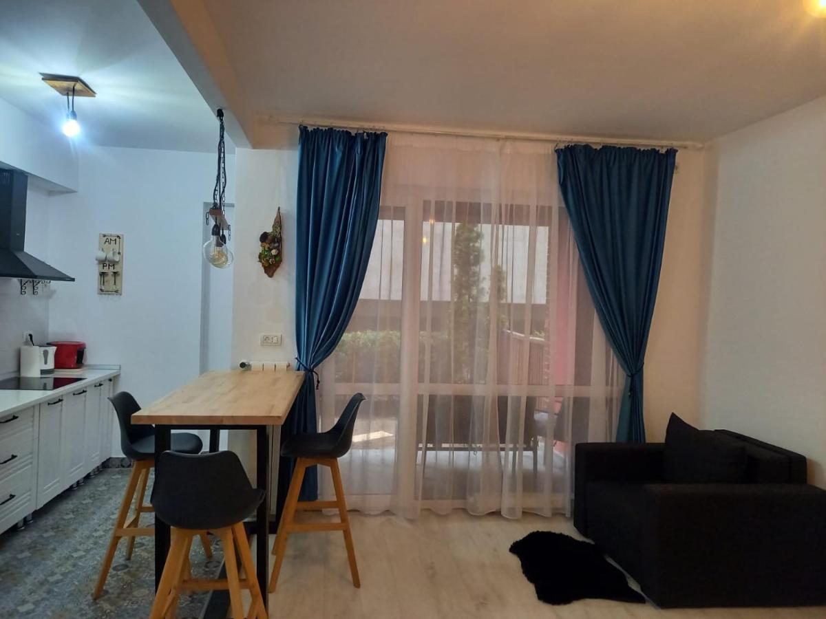 شقة سِنايا  في Belleview North Studio المظهر الخارجي الصورة