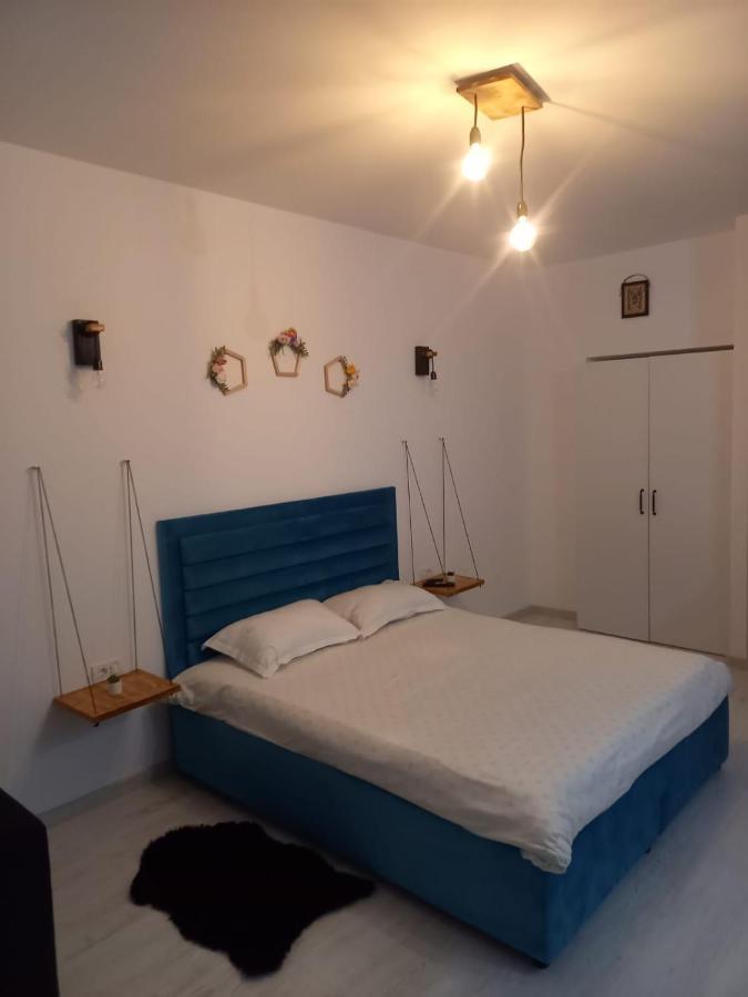 شقة سِنايا  في Belleview North Studio المظهر الخارجي الصورة