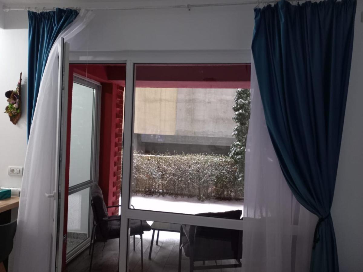 شقة سِنايا  في Belleview North Studio المظهر الخارجي الصورة
